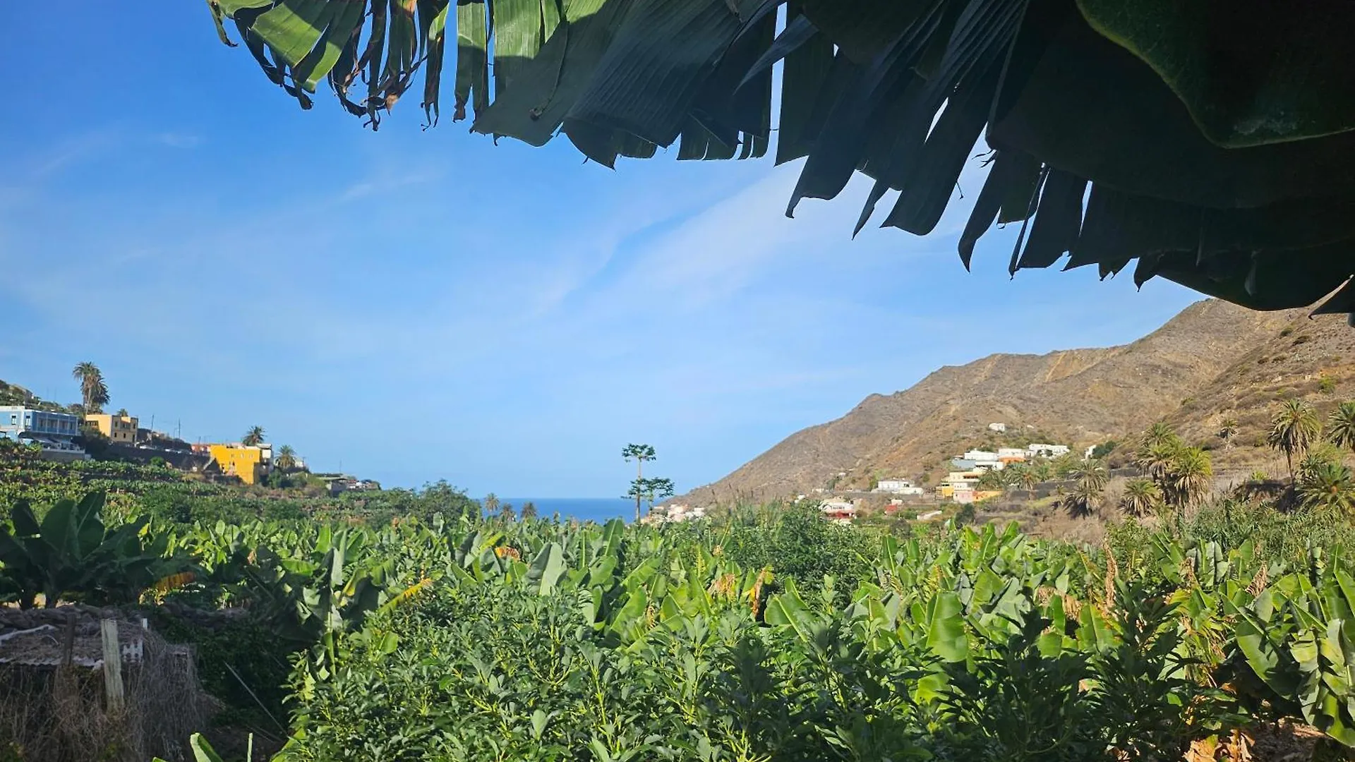 Casa Erika Villa Hermigua